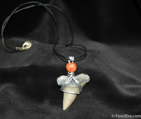 Megalodon Tooth Necklace #594